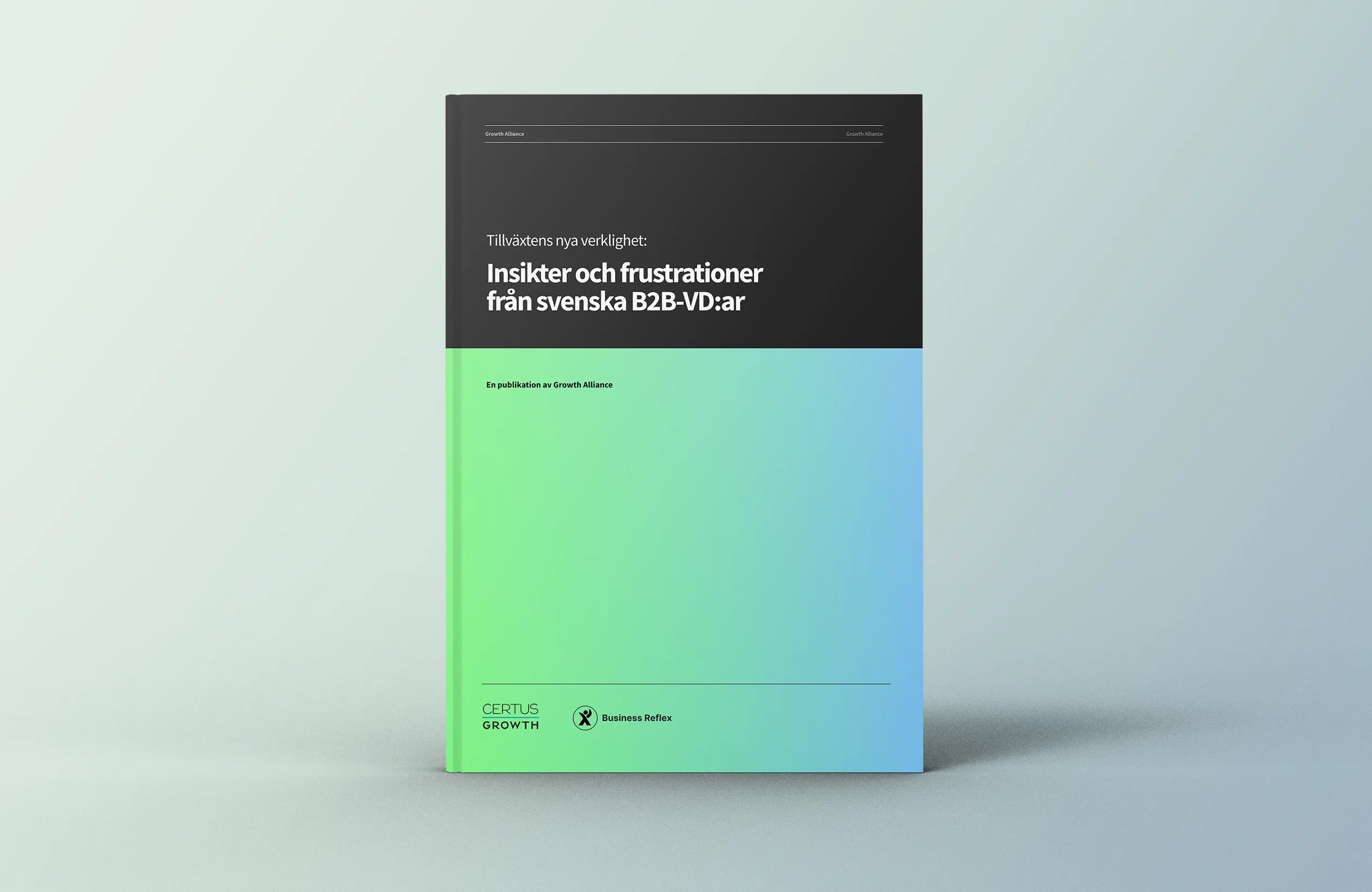 VD rapport om tillväxt growth alliance